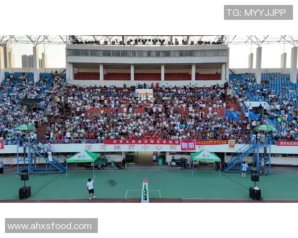 足球巨星助力河南足球发展 打造体育强省新篇章 足球巨星助力河南足球发展 打造体育强省新篇章